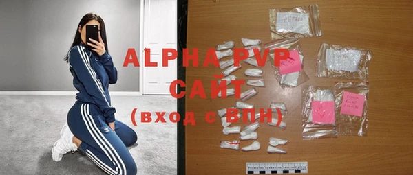 стаф Майский