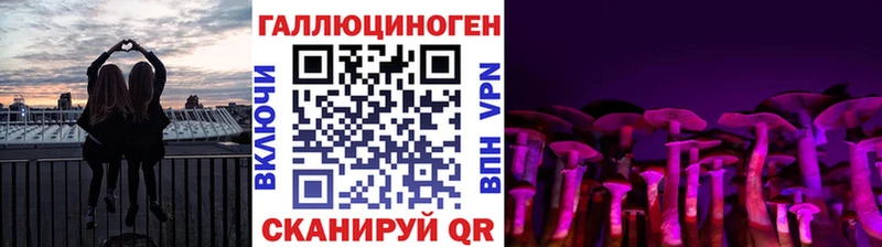 купить наркотик  Мегион  Галлюциногенные грибы Psilocybe 