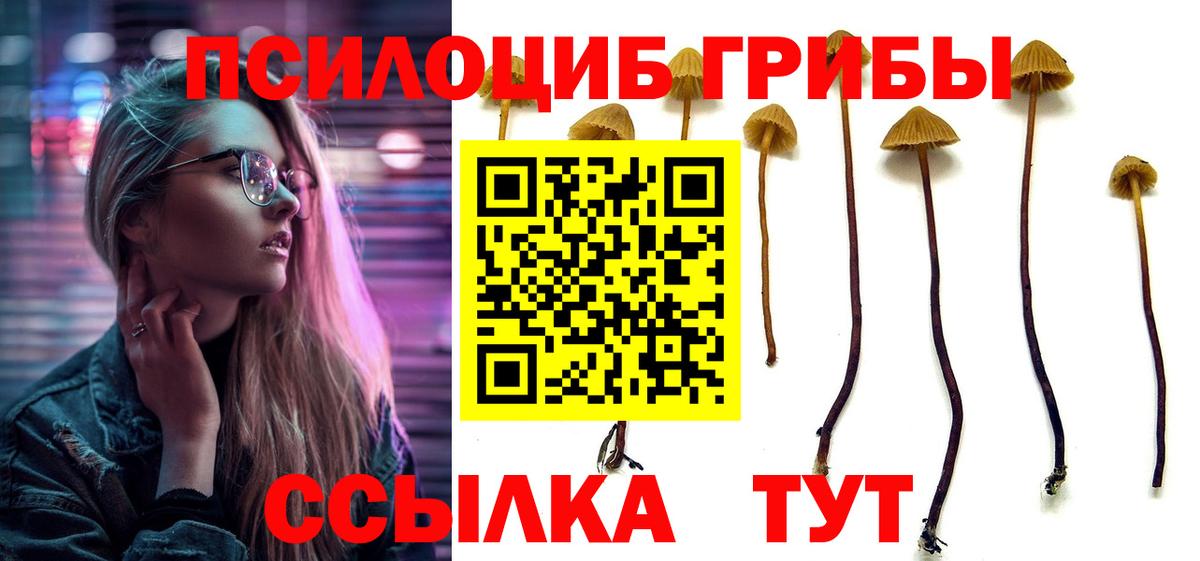 Галлюциногенные грибы GOLDEN TEACHER Мегион
